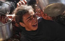 Gaza đối mặt nạn đói nghiêm trọng giữa vòng xoáy phong tỏa và xung đột