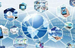 Kế hoạch triển khai Phong trào “Cả nước thi đua đổi mới sáng tạo và chuyển đổi số”