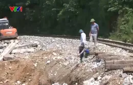 Triển khai các nhiệm vụ để khởi công xây dựng đường sắt Lào Cai - Hà Nội - Hải Phòng