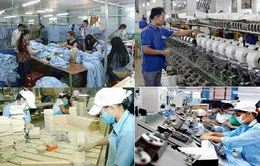 Đề xuất rút ngắn 30% thời gian giải quyết thủ tục phá sản