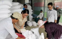 Xuất cấp gạo cho tỉnh Cao Bằng dịp giáp hạt đầu năm 2025