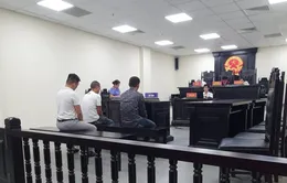 Đối tượng buôn lậu động vật hoang dã xuyên quốc gia nhận án phạt 7 năm tù