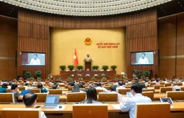 Ngày 17/5, trình Quốc hội dự án Luật sửa đổi, bổ sung một số điều của Luật Quốc tịch Việt Nam