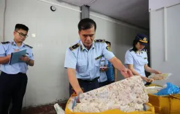 Quảng Ninh: Phát hiện và tạm giữ hơn 2 tấn thực phẩm không rõ nguồn gốc