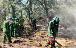 Kịp thời dập tắt đám cháy rừng phòng hộ ở Bình Định
