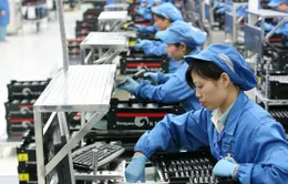 Tăng cảnh báo sớm: Lá chắn bảo vệ hàng xuất khẩu