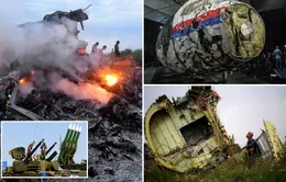 Ông Putin bác phán quyết của LHQ cáo buộc Nga bắn rơi máy bay MH17