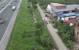 Đổ xô trồng sưa, xây nhà… “chờ” đền bù dự án