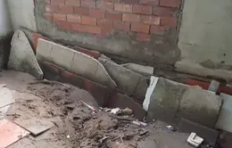 Trà Vinh công bố tình huống khẩn cấp do sạt lở nghiêm trọng tại đê bao Cồn Hô