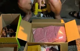Bắt giữ 5 đối tượng mua bán trái phép 30.000 viên ma túy tổng hợp