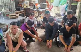 Xoá tụ điểm đá gà liên tỉnh ở Đà Nẵng