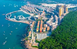 Giao nhiệm vụ chuẩn bị các điều kiện, triển khai nhanh các dự án phục vụ Hội nghị APEC 2027