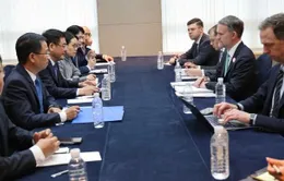 Việt Nam - Hoa Kỳ thống nhất định hướng đàm phán Hiệp định Thương mại đối ứng