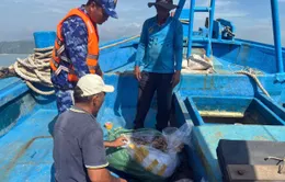 Tạm giữ tàu vận chuyển gần 3 tấn mực khô không rõ nguồn gốc