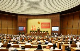 Hơn 1,5 triệu đại biểu tham dự Hội nghị triển khai thực hiện Nghị quyết 66 và 68