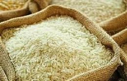 Xuất bán gần 90.000 tấn lương thực dự trữ quốc gia
