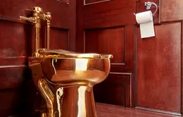 Anh tuyên án người liên quan đến vụ trộm bồn cầu vàng 4,8 triệu Bảng