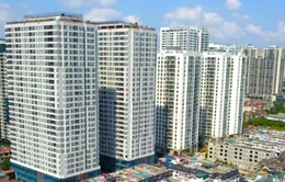 Rà soát quy định cho thuê căn hộ ngắn ngày