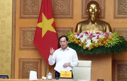 Phó Thủ tướng Bùi Thanh Sơn: Phải kiểm tra ngay khi người dân phản ánh có sản xuất, tiêu thụ hàng giả