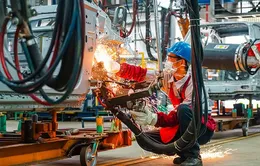 Đến năm 2030, kinh tế tư nhân đóng góp gần 60% GDP