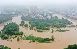 Trung Quốc: Mưa lớn tại Quảng Đông và Quảng Tây, ít nhất 5 người thiệt mạng