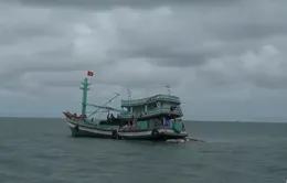 Ngư dân được miễn phí thuê bao, nhà mạng vẫn đòi thu tiền trước