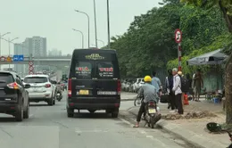Xử phạt hàng loạt ô tô dừng đỗ, đón trả khách sai quy định ở Hà Nội