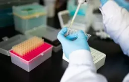 Nhiều nước châu Á theo dõi sát sao làn sóng COVID-19 mới