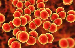 Anh triển khai vaccine phòng bệnh lậu đầu tiên trên thế giới