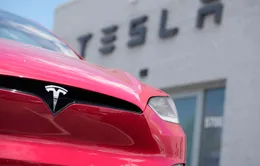 Tỷ phú Elon Musk lên kế hoạch rút khỏi chính trường