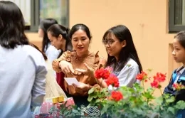 Danh sách 679 học sinh được tuyển thẳng vào lớp 10 tại Hà Nội