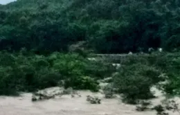 2 học sinh tử vong, 2 em mất tích do lũ cuốn khi tắm suối ở Quảng Ninh