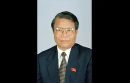 Nguyên Chủ tịch nước Trần Đức Lương từ trần