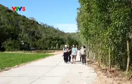 Người dân Phú Yên hiến đất mở đường