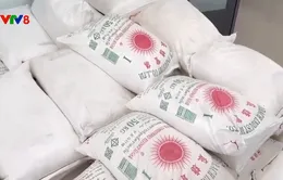 Bắt giữ 33 tấn đường nhập lậu và 1 tấn chả chay không rõ nguồn gốc
