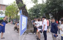 Hà Nội: Phụ huynh cần chuẩn bị giấy tờ gì cho con tuyển sinh đầu cấp?