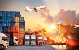 EU xem xét áp phí cố định cho kiện hàng giá trị thấp nhập khẩu