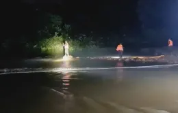 Nỗ lực tìm kiếm nạn nhân mất tích do lũ cuốn ở Quảng Ninh