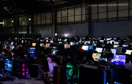 Insomnia Gaming Festival trở lại năm 2026: Hồi sinh hay chiêu trò PR?