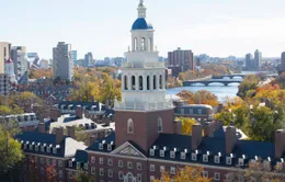 Mỹ thu hồi quyền tuyển sinh quốc tế của Đại học Harvard