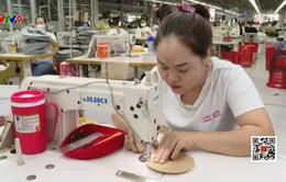 Điều tra doanh nghiệp năm 2025 trên toàn quốc