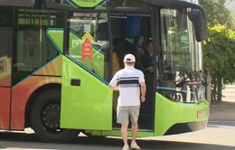 TP Hồ Chí Minh thúc đẩy giao thông xanh, xây dựng đô thị bền vững