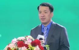 Điều động, phân công Phó Bí thư chuyên trách Đảng ủy Mặt trận Tổ quốc, các đoàn thể trung ương