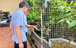 Hà Nội ra quân phòng chống sốt xuất huyết, hưởng ứng Ngày ASEAN lần thứ 15