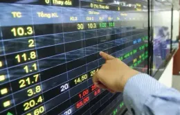 Thị trường chứng khoán tăng điểm mạnh: Tránh tâm lý "fomo"