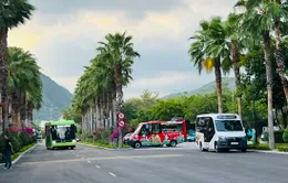 Gia tăng hợp tác vận tải du lịch Việt - Nga: Giải pháp giao thông du lịch nội thành mới tại Khánh Hòa.