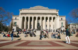 Sinh viên quốc tế tại Harvard lo "đứt gánh giữa đường"