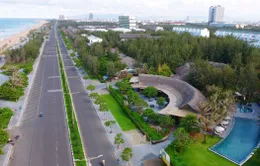 Rừng dương nơi phố biển
