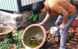 TP Hồ Chí Minh: Cảnh giác sốt xuất huyết mùa mưa