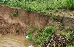 Trà Vinh sạt lở bờ sông, sụt lún kè biển nghiêm trọng
